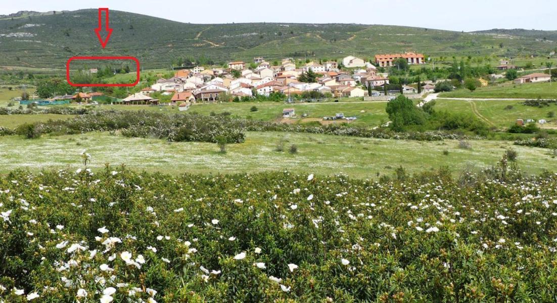 La Casa Del Ingles - Robledillo De La Jara Villa Exteriör bild
